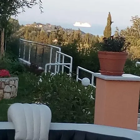 Miranda ゴウヴィア