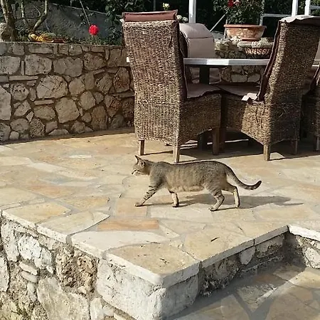 Miranda アパート