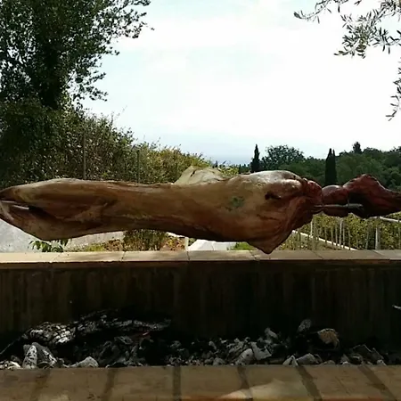 Miranda * 고우비아